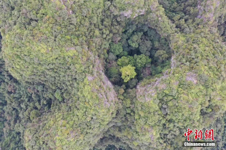 ?????? ??????? ???? ???? ??? ??????? ???????? ????????? ?????? ?????