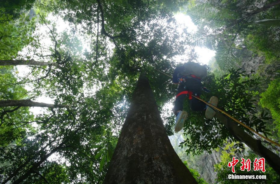 ?????? ??????? ???? ???? ??? ??????? ???????? ????????? ?????? ?????