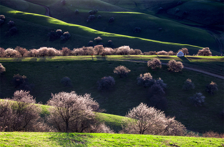 ????? ????????: ???? ???? ?????? ?? ??????????? ?? ????? ??? ??????