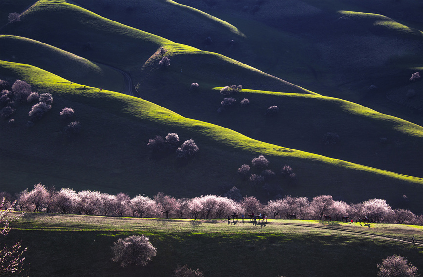 ????? ????????: ???? ???? ?????? ?? ??????????? ?? ????? ??? ??????