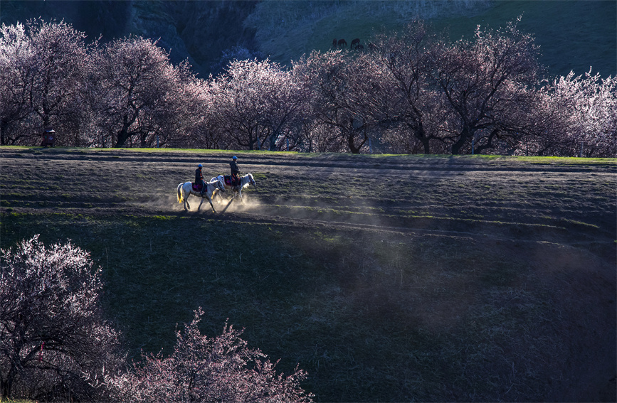 ????? ????????: ???? ???? ?????? ?? ??????????? ?? ????? ??? ??????