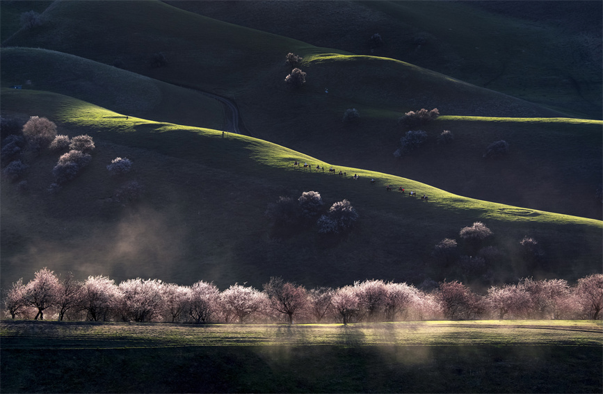 ????? ????????: ???? ???? ?????? ?? ??????????? ?? ????? ??? ??????