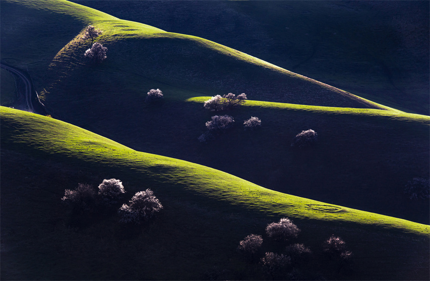 ????? ????????: ???? ???? ?????? ?? ??????????? ?? ????? ??? ??????