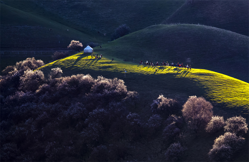 ????? ????????: ???? ???? ?????? ?? ??????????? ?? ????? ??? ??????