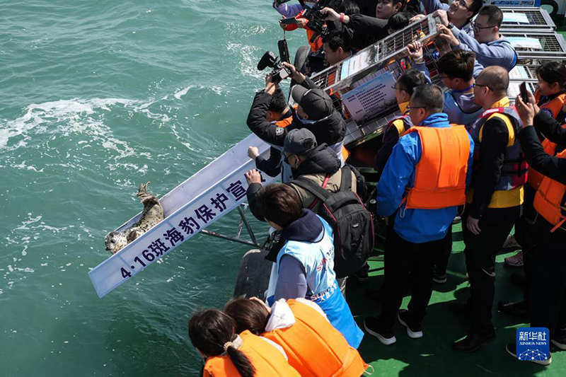 ?????? ??? ????? .. ????? ???? ????? ?? ????? ??? ?????? ?????? ?? ??????