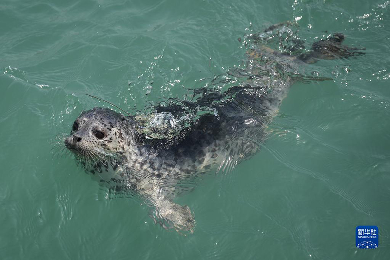 ?????? ??? ????? .. ????? ???? ????? ?? ????? ??? ?????? ?????? ?? ??????