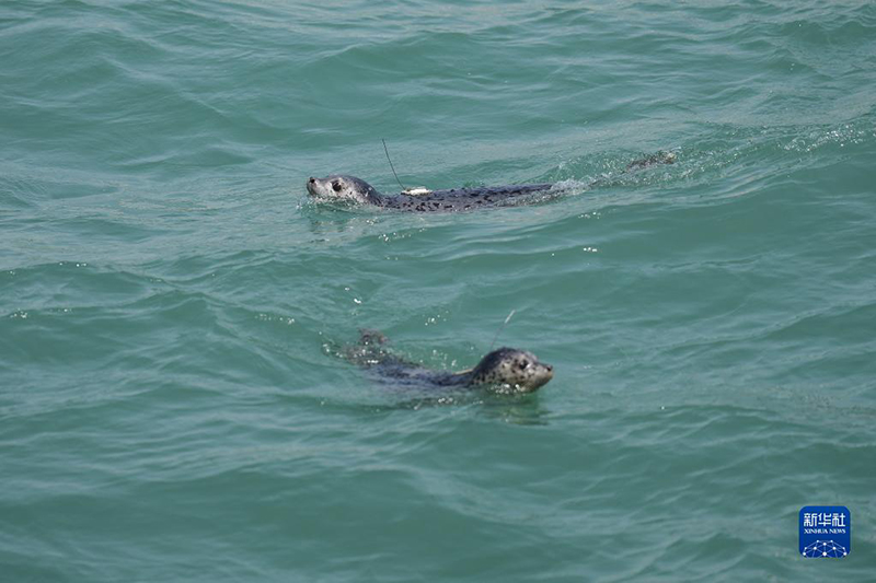 ?????? ??? ????? .. ????? ???? ????? ?? ????? ??? ?????? ?????? ?? ??????