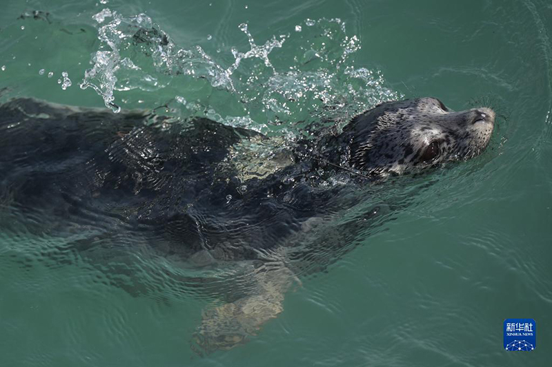 ?????? ??? ????? .. ????? ???? ????? ?? ????? ??? ?????? ?????? ?? ??????