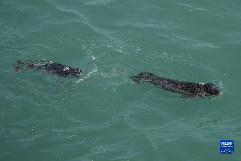 ?????? ??? ????? .. ????? ???? ????? ?? ????? ??? ?????? ?????? ?? ??????