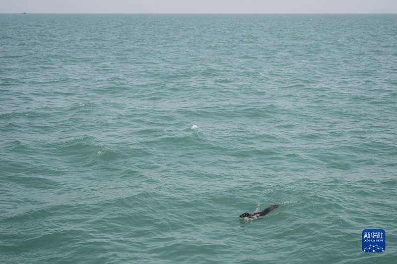 ?????? ??? ????? .. ????? ???? ????? ?? ????? ??? ?????? ?????? ?? ??????