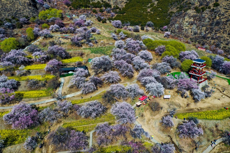 ????? ????? ?????? 2.55 ????? ???? ???? ????? ?????