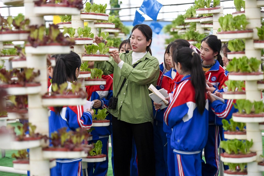 ????? ???? ????? ?????? ????? ??????