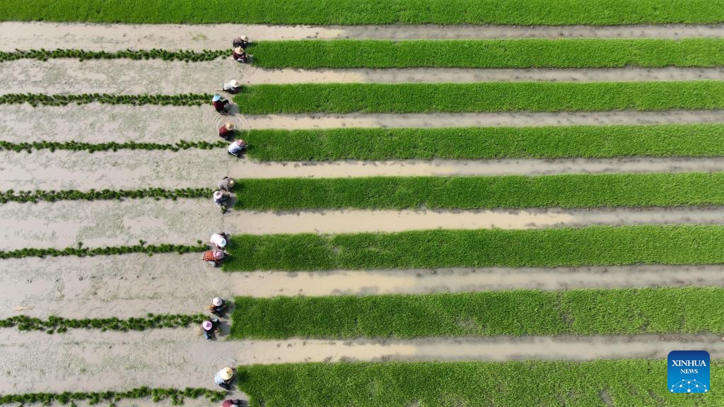 ????? ???? ?? ????? ???????? ???????? ????? ??????