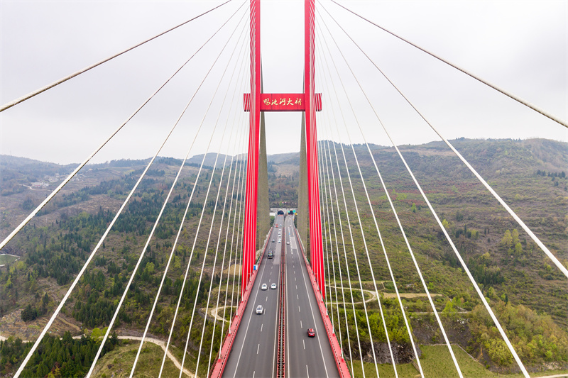 ?????? ??????: ???? ???? ????? ????? ?????? ?? ??????