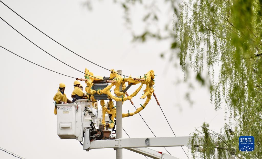 ???? ???? ??????????? ??????? ?? ????? ???? ????????