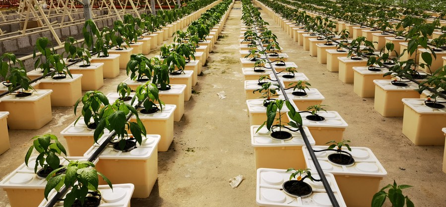 ????? : ??????? ???????? ??????? ????? ?????? ??????? ??? ????? ???????? ?? ???????