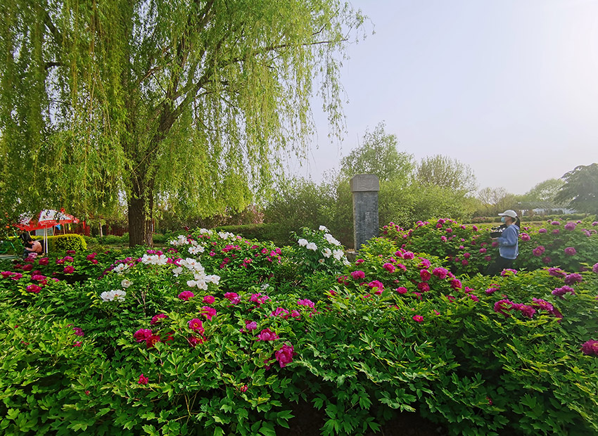 ???? ????? ???? ?????? ???? ?? 100 ????? ???? ????? ???? ??? ???? ?????????