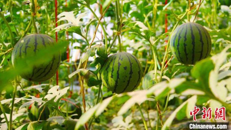 ?????? ?? ?????? ???? ??? ?? ???? ??? ?? ????????