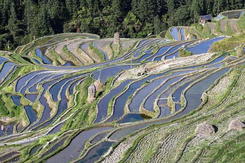 ???? ???? ???? ???? ?????? ????????