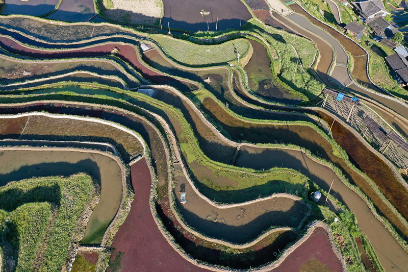 ???? ???? ???? ???? ?????? ????????