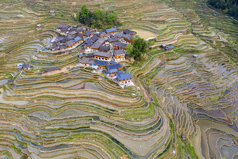 ???? ???? ???? ???? ?????? ????????