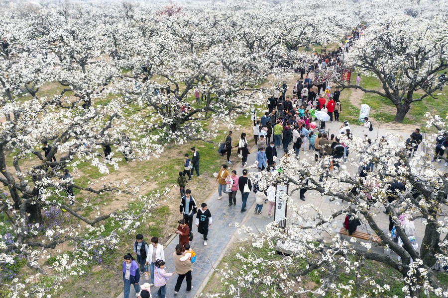 46.5 ?????? ???????? ?? ??????? ???????? ??????? ?? ????? ???? ????? ????? ?? ????? ??????