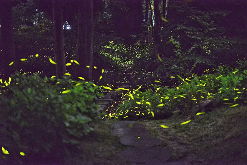 ???? ?????? ??????? ?? ??? ??????? ????????