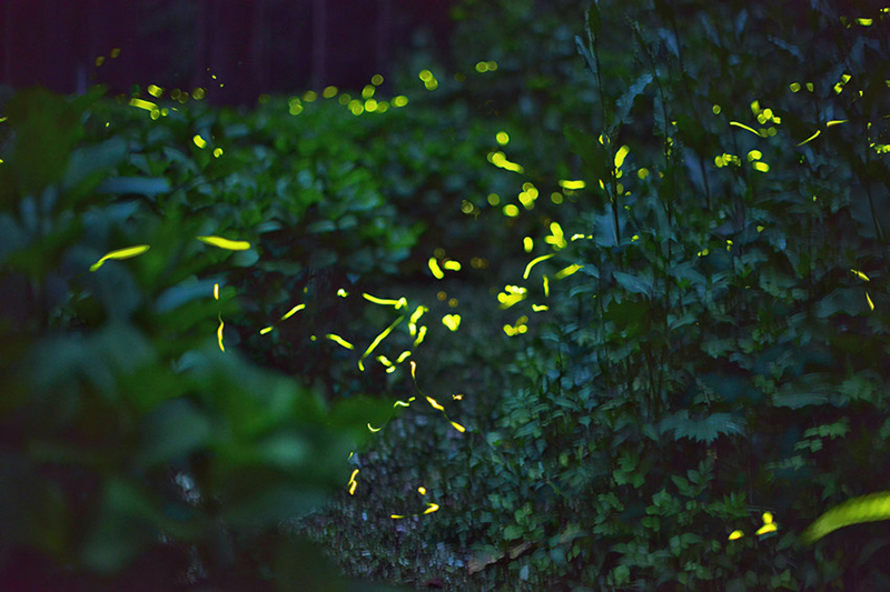 ???? ?????? ??????? ?? ??? ??????? ????????