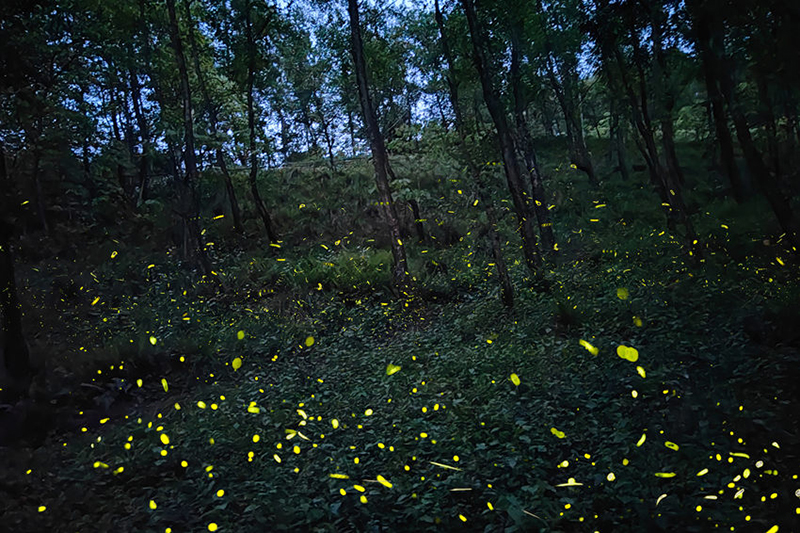 ???? ?????? ??????? ?? ??? ??????? ????????