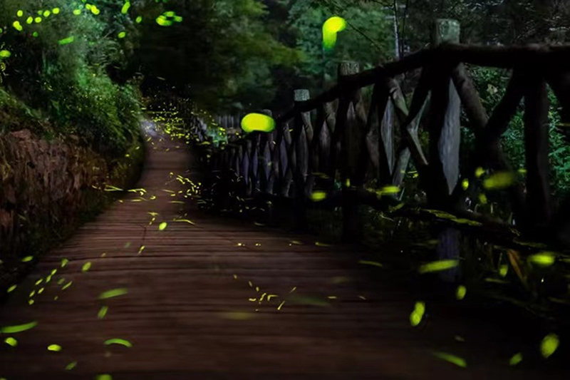 ???? ?????? ??????? ?? ??? ??????? ????????