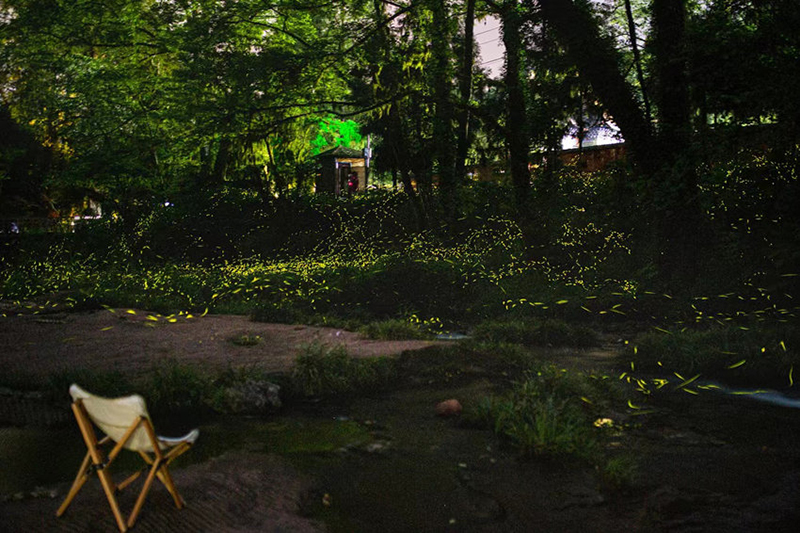 ???? ?????? ??????? ?? ??? ??????? ????????