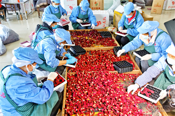 ?????? ?? ????? ???? ?????? ??????