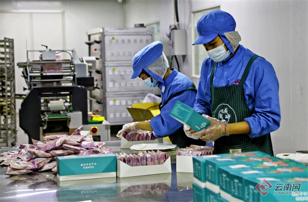 ?????? ?? ????? ???? ?????? ??????