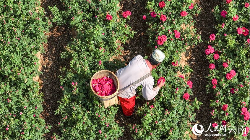 ?????? ?? ????? ???? ?????? ??????