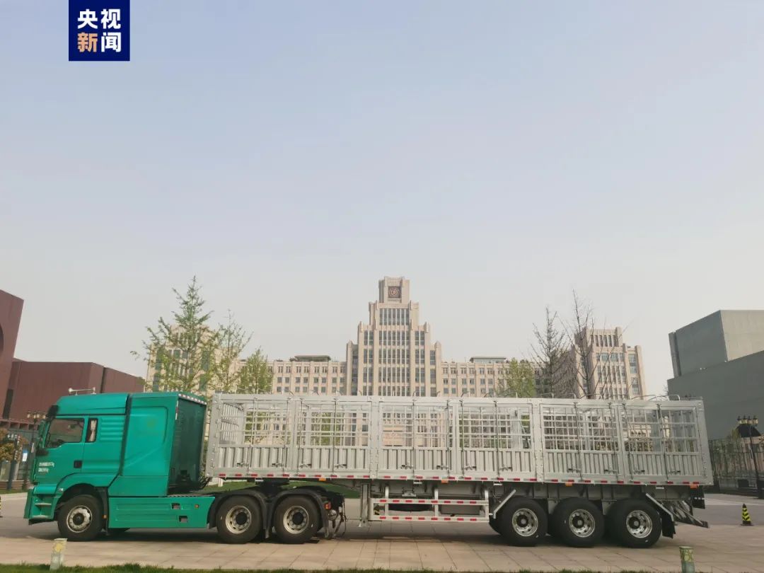 ????? ???? ??? ?????? ????? ????? ?? ????? ??????????