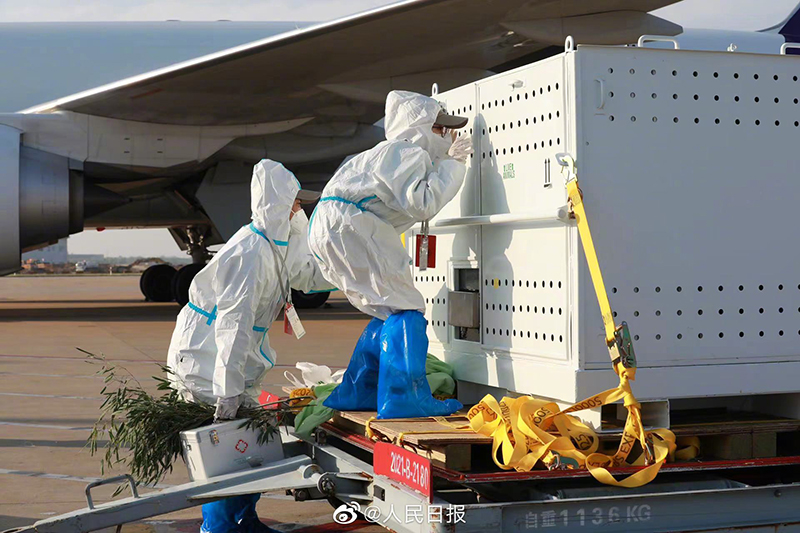 ??????? ???????? ?? ?? ??? ??? ???????