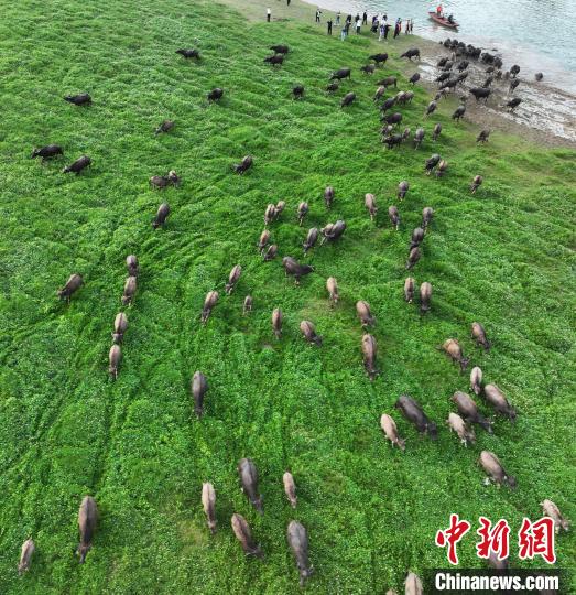 ????? ??????? ???? ?????? ?????? ???? ??????? ?? ???????