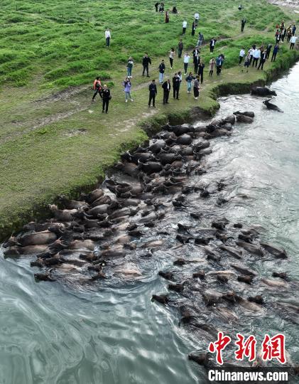 ????? ??????? ???? ?????? ?????? ???? ??????? ?? ???????