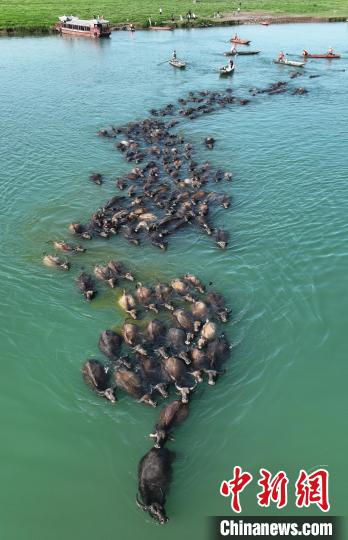 ????? ??????? ???? ?????? ?????? ???? ??????? ?? ???????