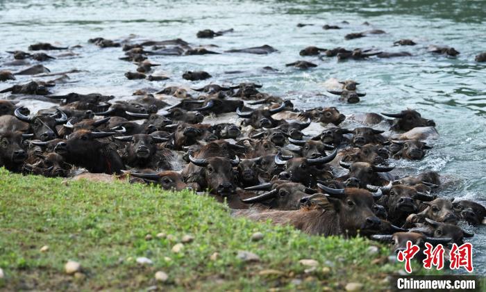 ????? ??????? ???? ?????? ?????? ???? ??????? ?? ???????