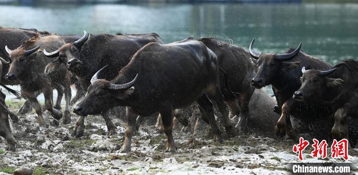 ????? ??????? ???? ?????? ?????? ???? ??????? ?? ???????