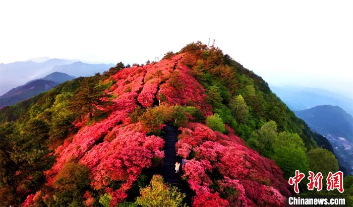 ????? ????????? ??????? ????? ??? ???? ????