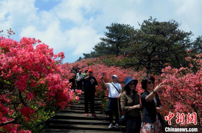 ????? ????????? ??????? ????? ??? ???? ????