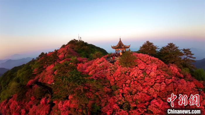 ????? ????????? ??????? ????? ??? ???? ????