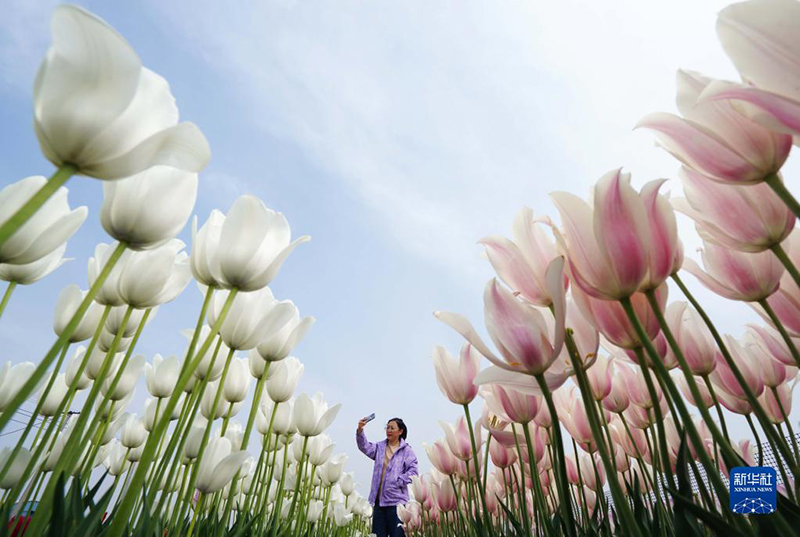 ?????: ?????? ??????? ?? ????? ???? ???? ??? ??????