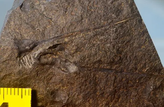 ?????? ?????? ???????? ?????? ???? ???? ?? ?????? ?????? ???? ??????? ??? 420 ????? ??? ?? ???? ???? ?????