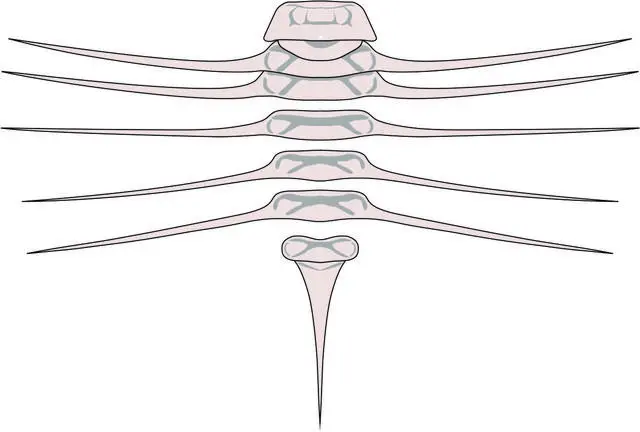 ?????? ?????? ???????? ?????? ???? ???? ?? ?????? ?????? ???? ??????? ??? 420 ????? ??? ?? ???? ???? ?????