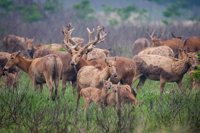 ????? ???? ?? ????? ???? ???? ????????