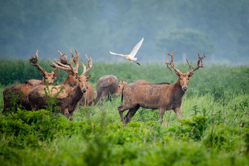 ????? ???? ?? ????? ???? ???? ????????