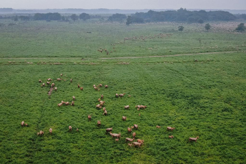 ????? ???? ?? ????? ???? ???? ????????